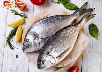 Mengapa Ikan Baik untuk Diet?
